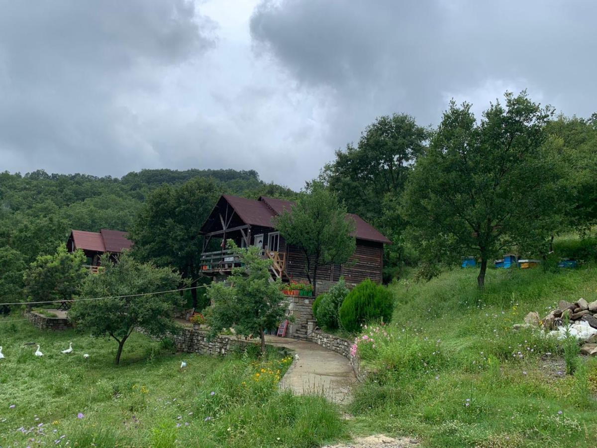 Origjina Farm Villa Permet Bagian luar foto