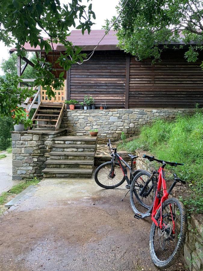 Origjina Farm Villa Permet Bagian luar foto